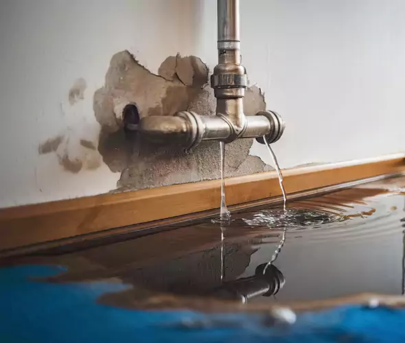 Professional Water Damage Restoration Experts in Fountain, CO — Fast, Reliable & Certified